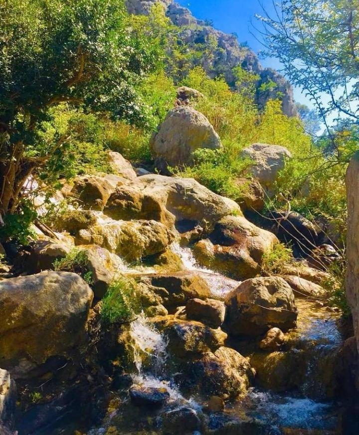 Apartmani Dumezic Bar Luaran gambar