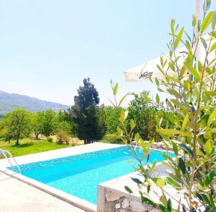 Apartmani Dumezic Bar Luaran gambar