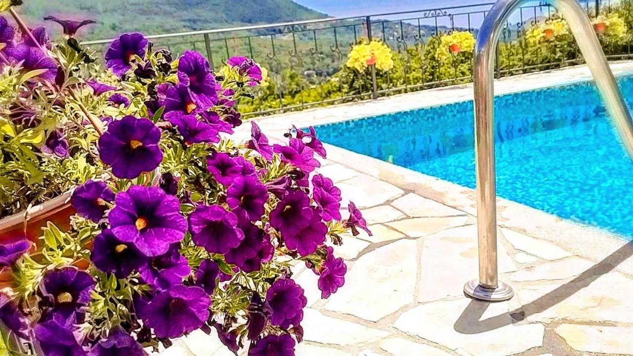 Apartmani Dumezic Bar Bilik gambar