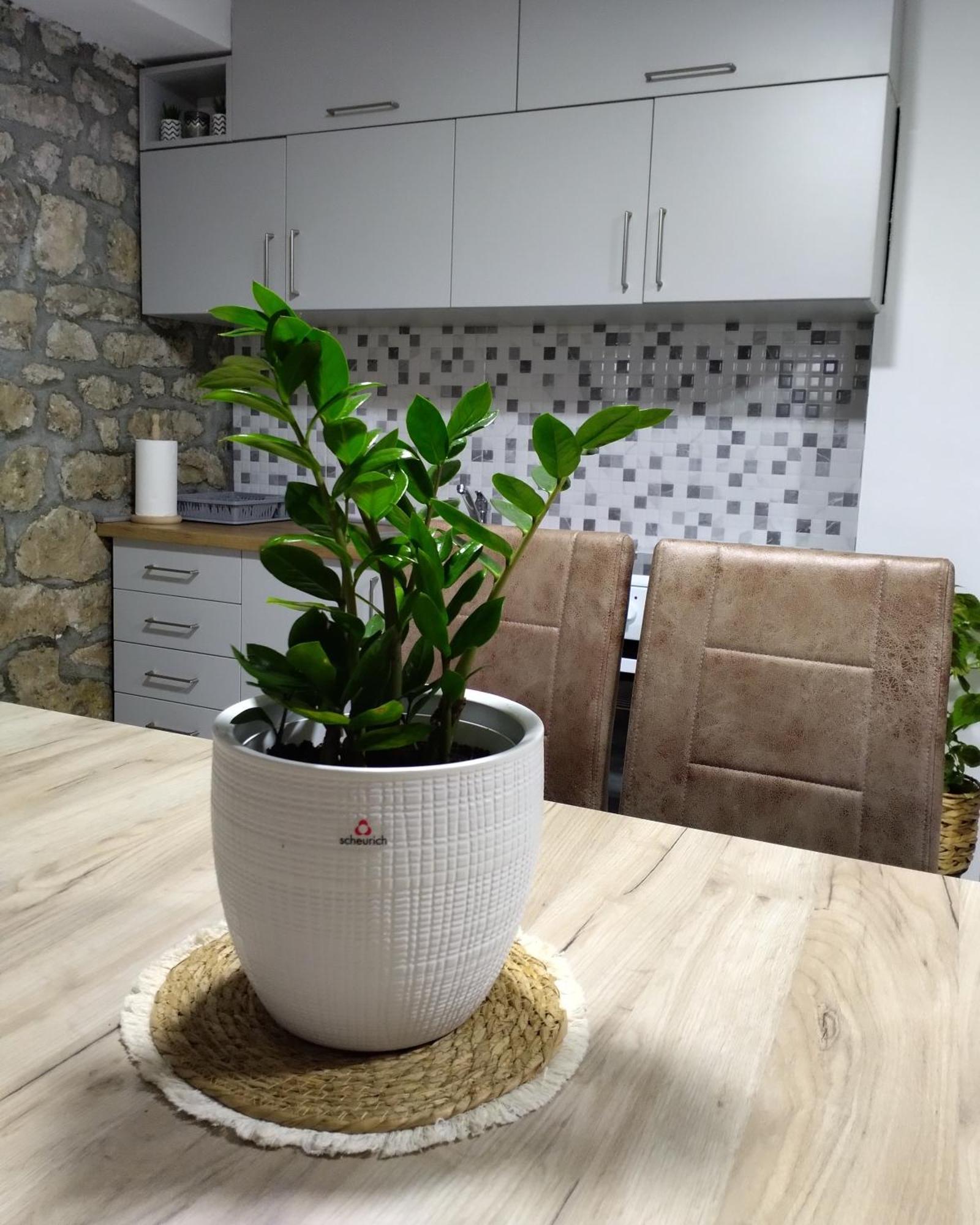 Apartmani Dumezic Bar Bilik gambar
