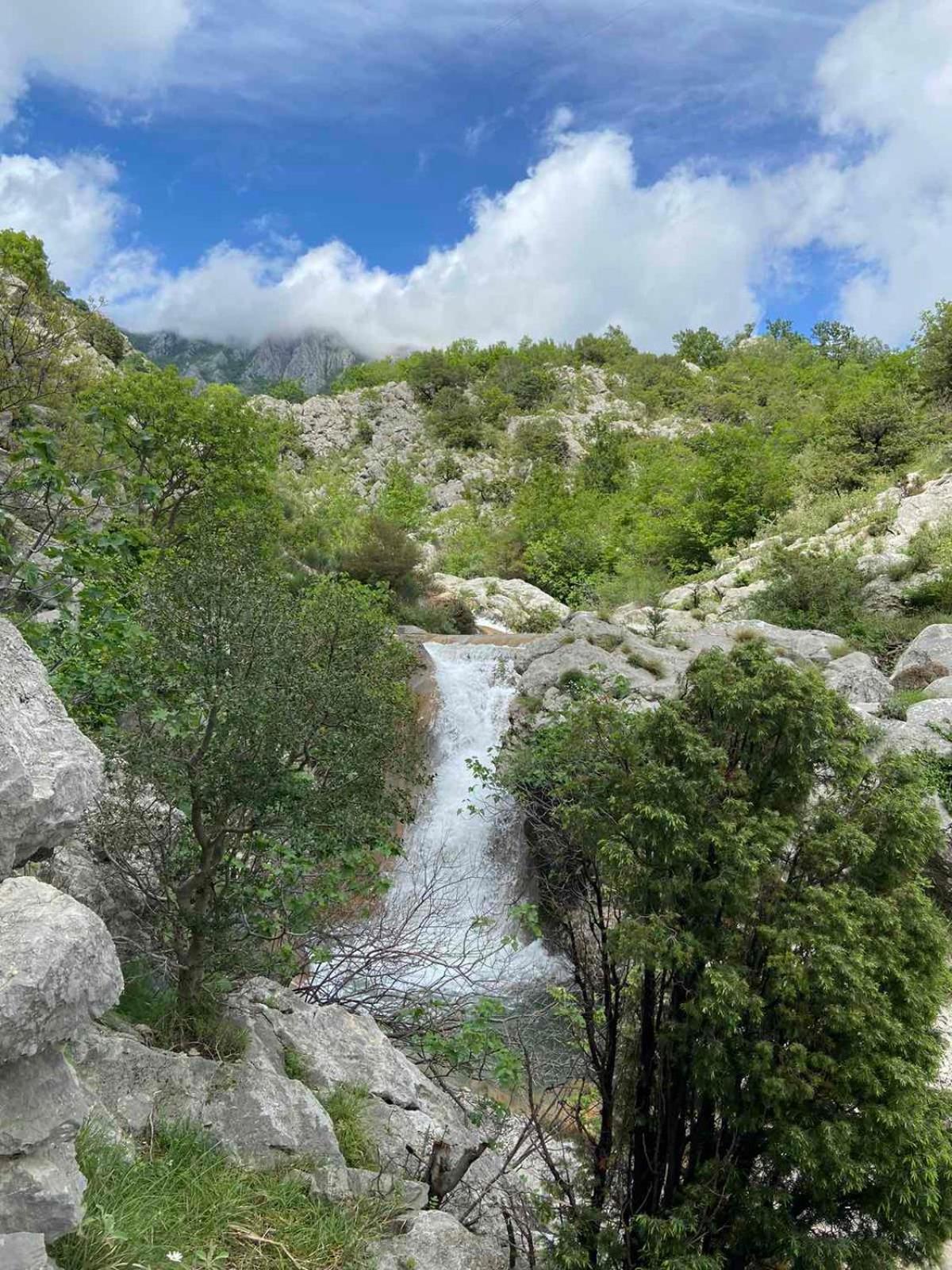 Apartmani Dumezic Bar Luaran gambar